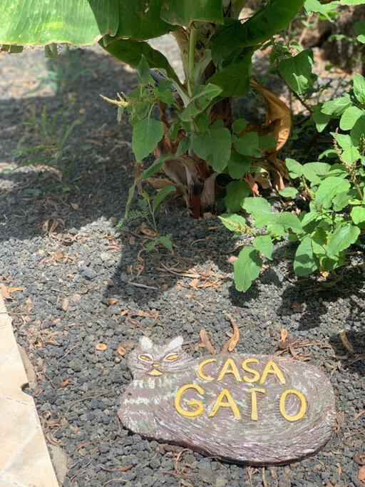Casa Gato Apartment Коралео Екстериор снимка